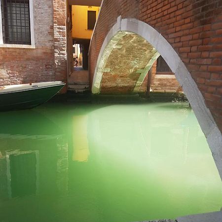 The Secret Garden In The Very Heart Of Venecia Exterior foto