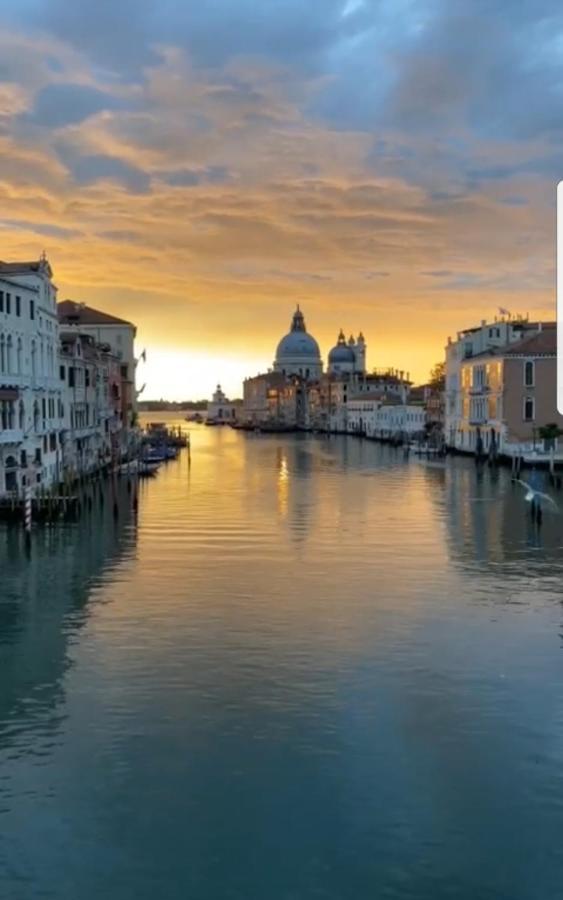 The Secret Garden In The Very Heart Of Venecia Exterior foto