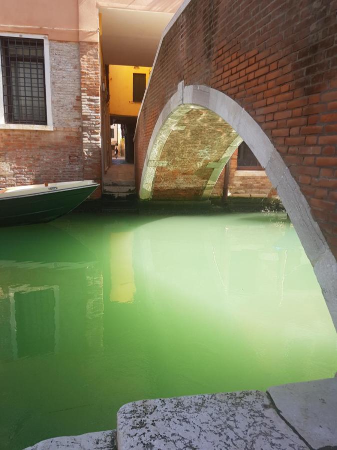 The Secret Garden In The Very Heart Of Venecia Exterior foto